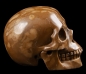 Preview: Map Jasper Skull